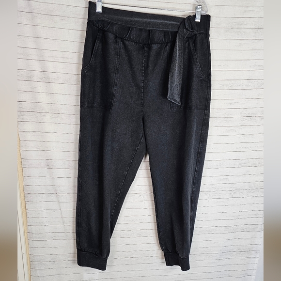 Anthropologie Pants - Anthropologie Sydney Belted Jogger Pants in Carbon, sz Large Petite